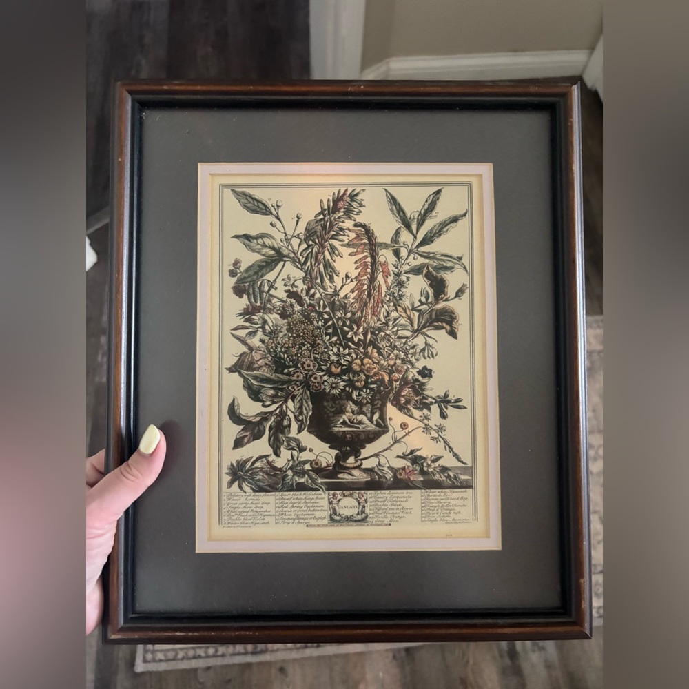 Framed Botanical Art Print with Black Frame